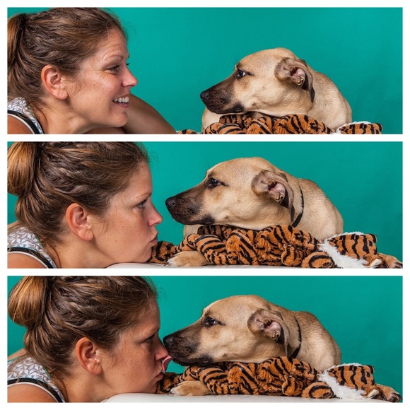 Spay. Neuter. Vaccinate. Microchip. #opttoadopt - Picture 5 of 8